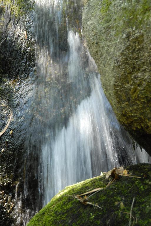 Inatel Entre-Os-Rios Otel Portela  Dış mekan fotoğraf